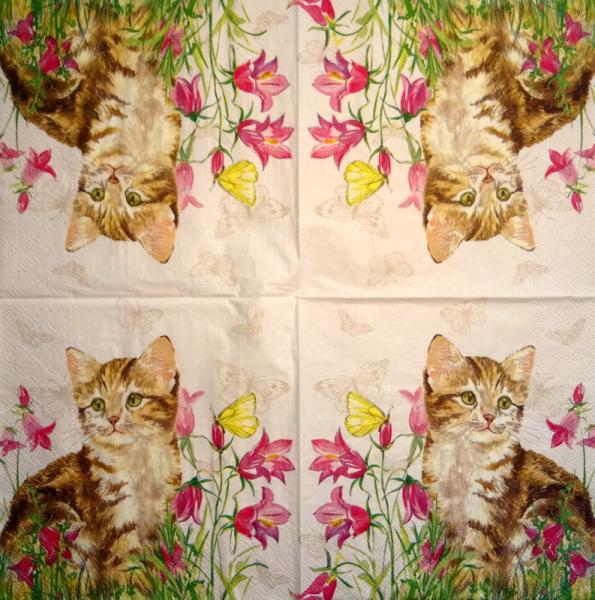 KAT-378 Cats - 3-ply - Ihr